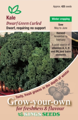Picture of Kale Dwarf Green Curled