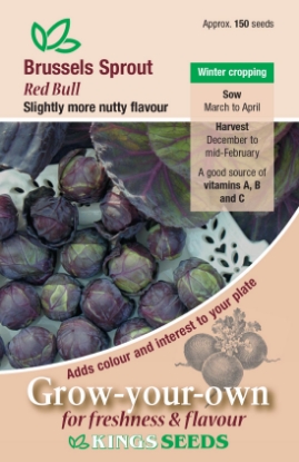 Picture of Brussels Sprout Red Bull