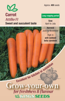 Picture of Carrot Attillo F1