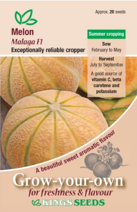 Picture of Melon Malaga F1