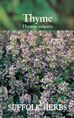Picture of Thyme