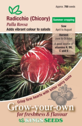 Picture of Radicchio (Chicory) Palla Rossa