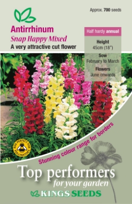 Picture of Antirrhinum Snap Happy