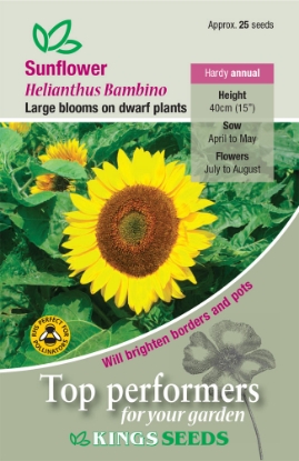 Picture of Sunflower Bambino 