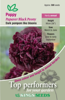 Picture of Poppy Black Peony