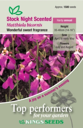 Picture of Stock Night Scented