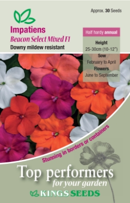 Picture of Impatiens Beacon Select Mixed F1