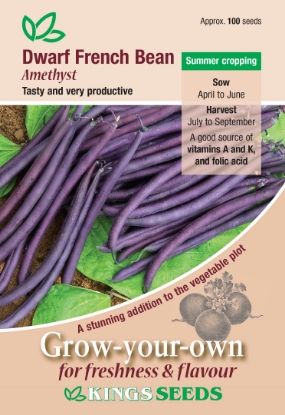 Picture of Dwarf French Bean Amethyst 