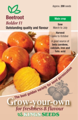 Picture of Beetroot Boldor F1