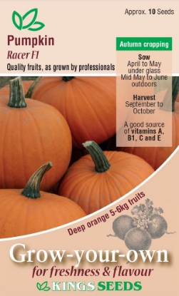 Picture of Pumpkin Racer F1