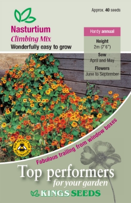 Picture of Nasturtium Climbing Mix