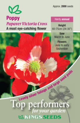 Picture of Poppy Victoria Cross