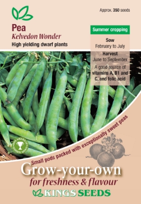 Picture of Pea Kelvedon Wonder 