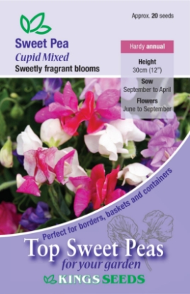 Picture of Sweet Pea Cupid Mixed