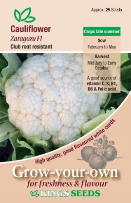 Picture of Cauliflower  Zaragoza F1