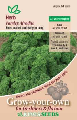 Picture of Herb Parsley Afrodite