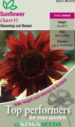 Picture of Sunflower Claret F1 