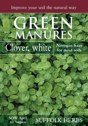 Picture of White Clover (30sq.M Pack)