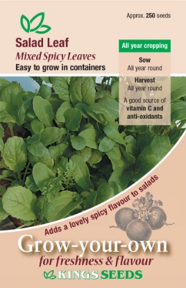 Picture of Salad Leaf Mixed Spicy Leaf