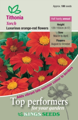 Picture of Tithonia - Torch