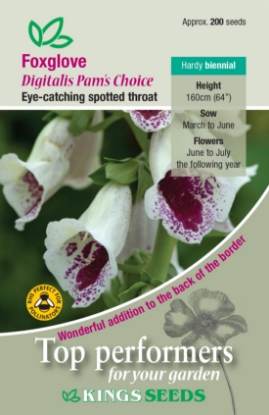 Picture of Foxglove Pams Choice