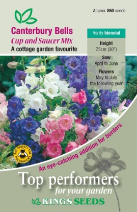 Picture of Canterbury Bells Cup And Saucer Mixed