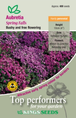 Picture of Aubrietia Spring Falls