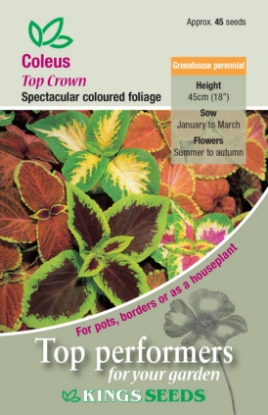 Picture of Coleus Top Crown