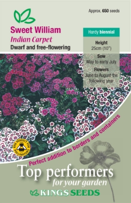 Picture of Sweet William Indian Carpet