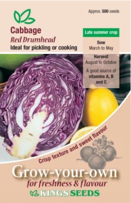 Picture of Cabbage Red Drumhead