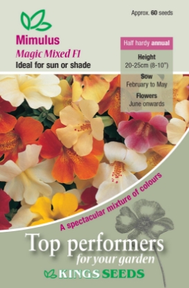 Picture of Mimulus Magic Mixed F1