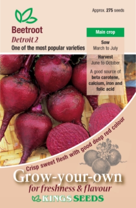 Picture of Beetroot Detroit Globe 2