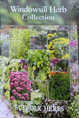 Picture of Windowsill Herb Collection Pack