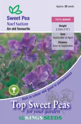 Picture of Sweet Pea Noel Sutton