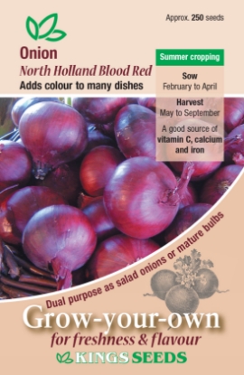 Picture of Onion North Holland Blood Red 