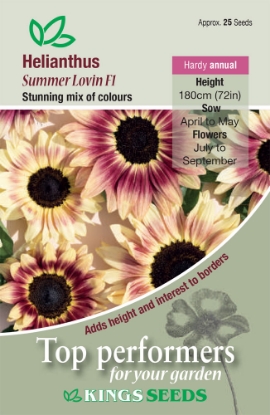 Picture of Sunflower Summer Lovin F1 