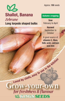Picture of Shallot (Banana) Zebrune