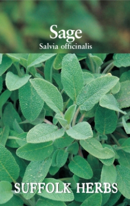 Picture of Sage