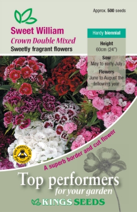 Picture of Sweet William Crown Double Mixed