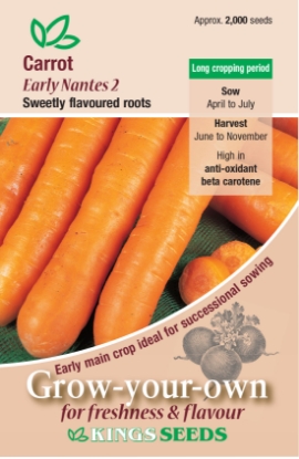 Picture of Carrot Early Nantes 2