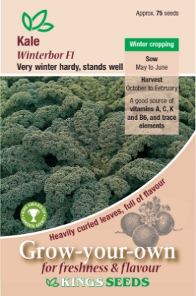 Picture of Kale Winterbor F1