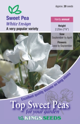Picture of Sweet Pea White Ensign
