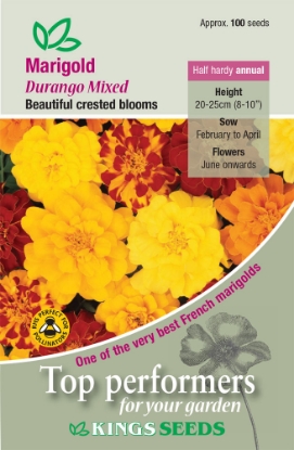 Picture of Marigold French Durango Mixed