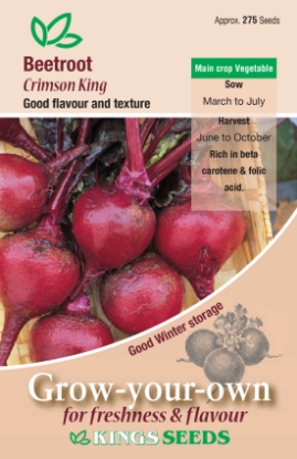 Picture of Beetroot Crimson King