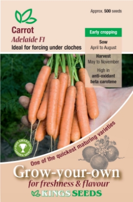 Picture of Carrot Adelaide F1
