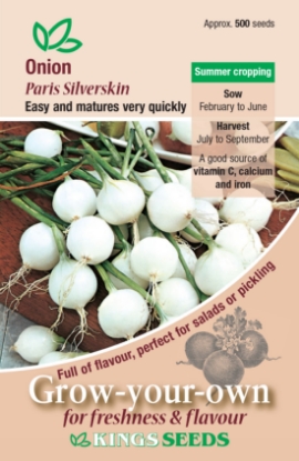 Picture of Onion Paris Silverskin
