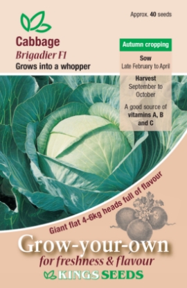Picture of Cabbage Brigadier F1