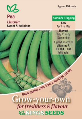 Picture of Pea Lincoln