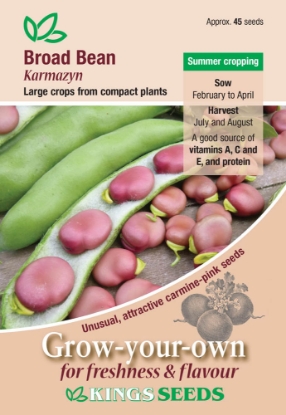 Picture of Broad Bean Karmazyn 