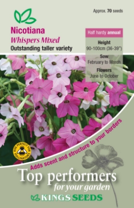 Picture of Nicotiana Whispers Mixed